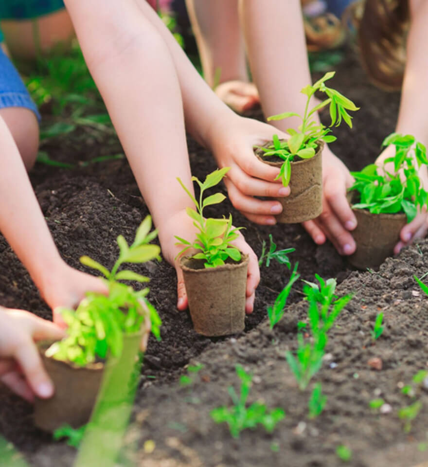 환경적 책임에 집중하다